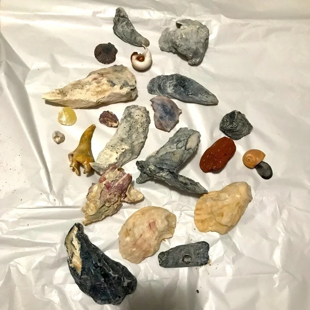Custom shell bundle — PLEASE READ
